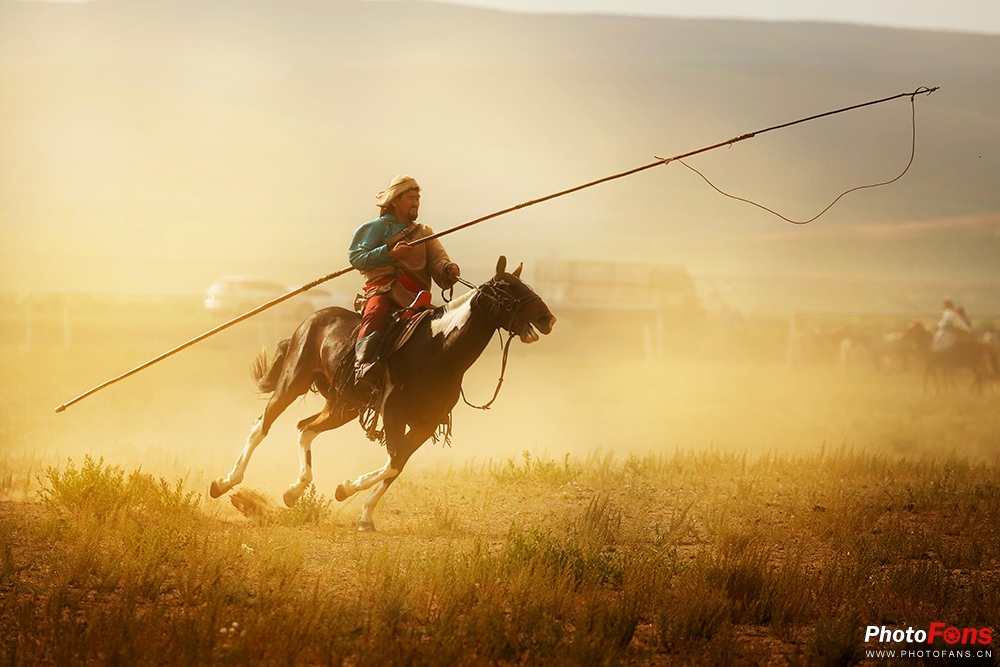 草原奔马拍摄技巧,草原骑马照片怎么拍