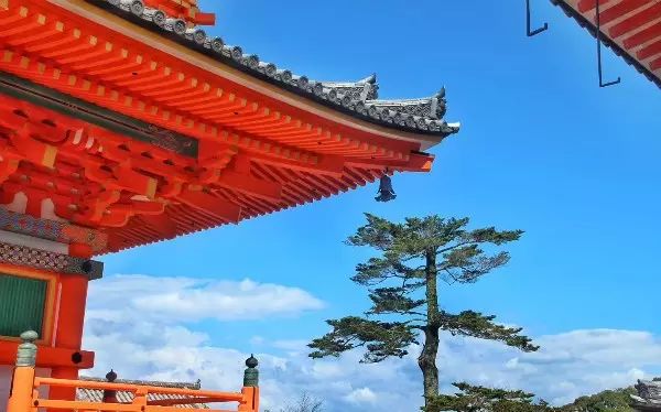 说好的逛吃逛吃，但我真的走不动了