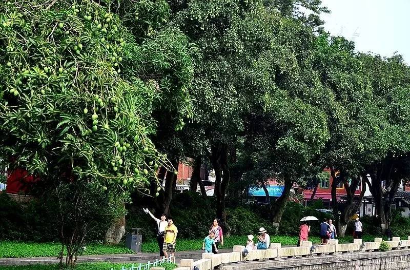 福建厦门冷知识,厦门的秘密你还知道多少