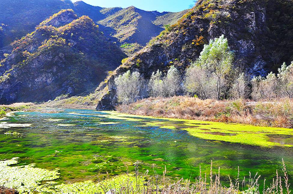 听说翻山越岭才能见到你,听说看懂了就能成功