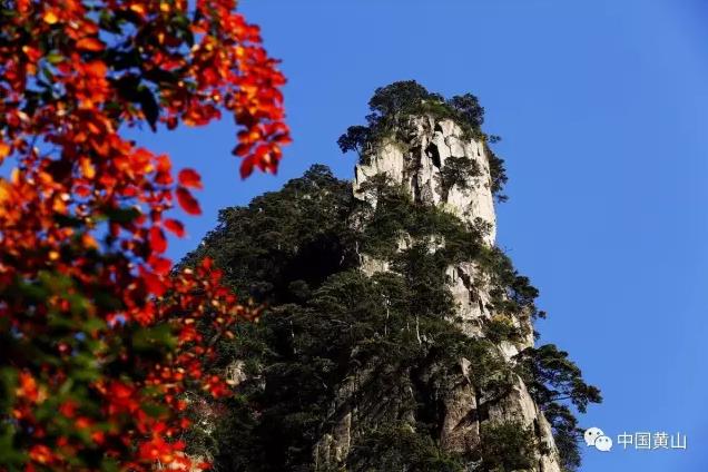 广州到黄山最便宜的航班,99元飞黄山