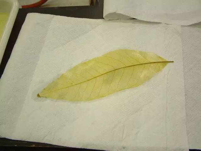 春夏秋冬自制的书签,秋天书签diy