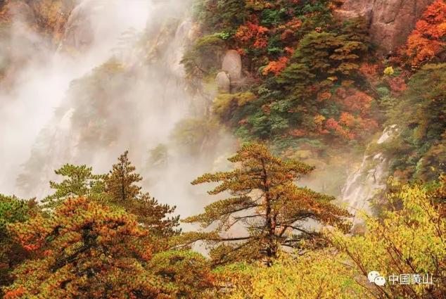 广州到黄山最便宜的航班,99元飞黄山