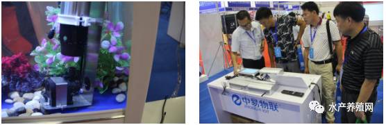 姘翠骇鍏绘畺鍙傚睍浼佷笟,姘翠骇鍔ㄤ繚浼佷笟鑱氶姝︽眽