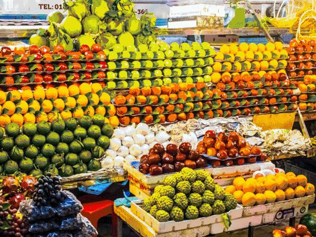 合肥人出国自驾游,合肥市人坐动车外出