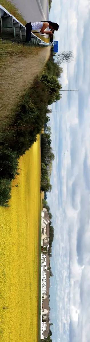 不止眼前的苟且还有远方的苟且,生活不止眼前的苟且还有远方英文