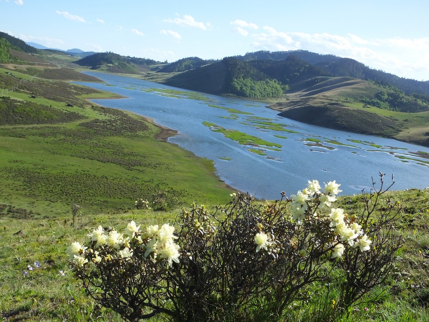 泸亚东线沿途风景,泸亚线穿越原始森林