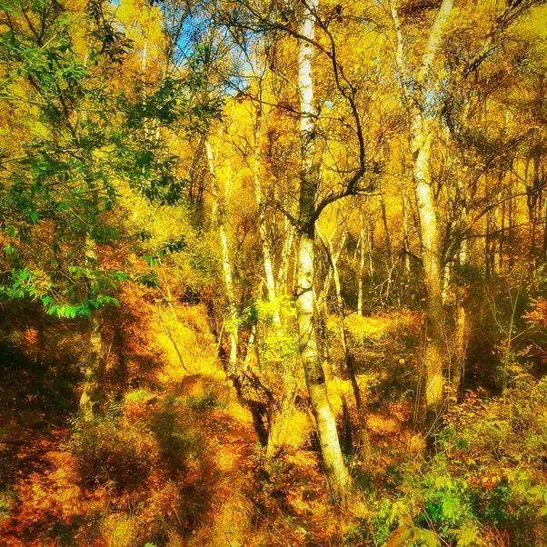 盘点名著里的经典语句,十大名著摘抄大全