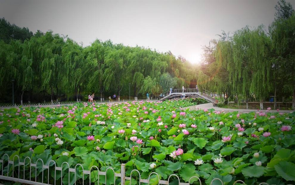 石河子秋季旅游攻略,石河子十一假期旅游推荐