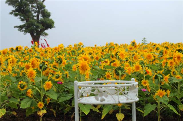 「你说我做之周浦篇」你不可错过的“小上海”,约吗?