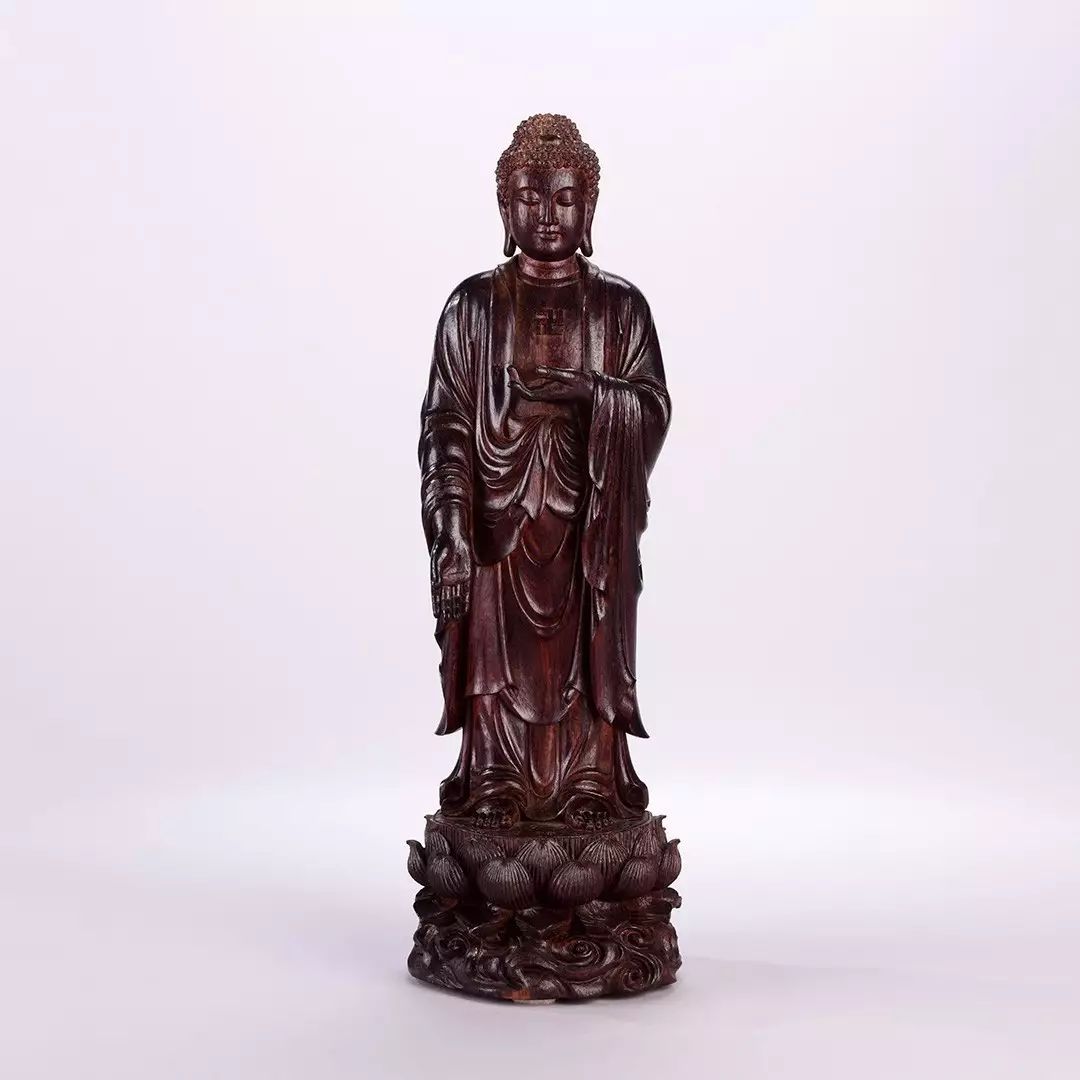 法象威仪|东南网拍·第七期