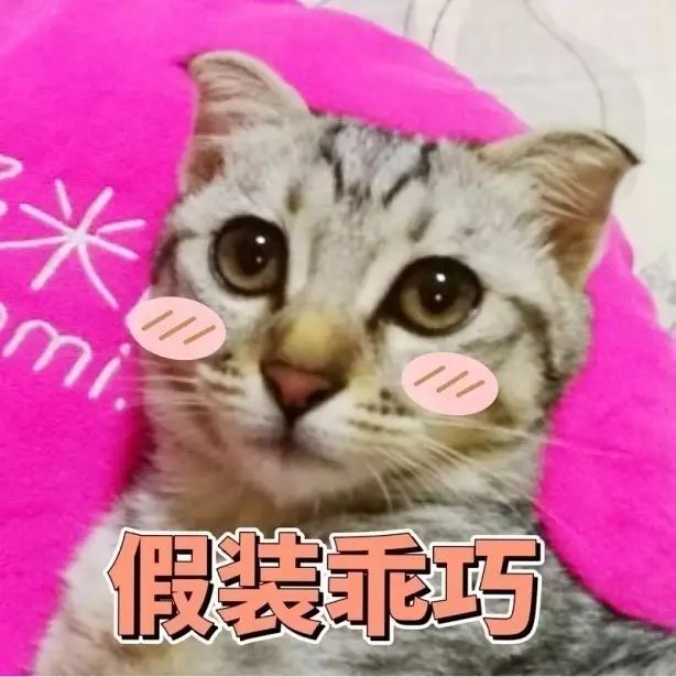 便宜好用膨润土,松木很不好吗