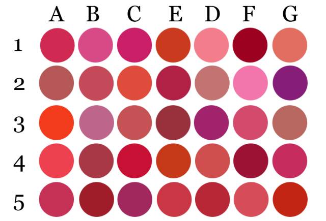 真假老婆测试,分辨真假女人