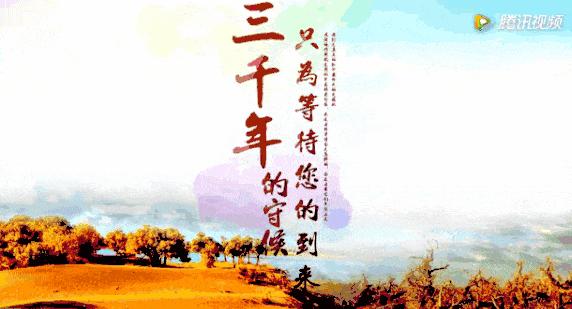 额济纳胡杨林10月份旅游攻略,额济纳旗旅游住宿