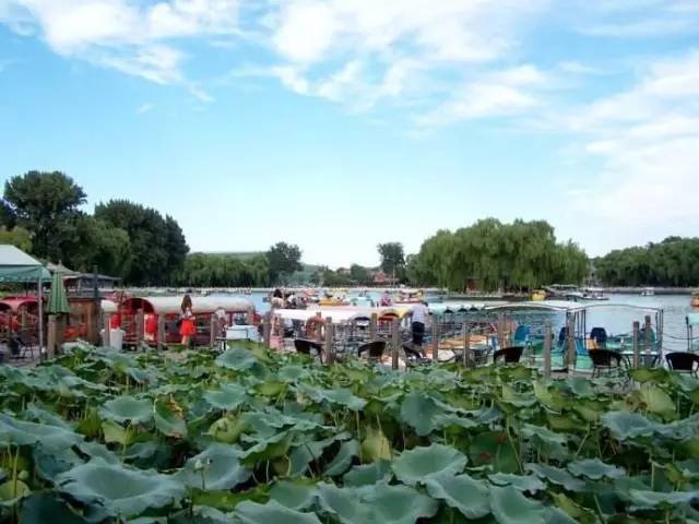 北京积水潭有多牛,北京积水潭好在哪里