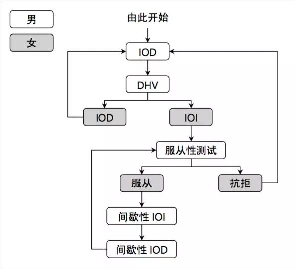 为了学习如何“泡妞/把妹”，我们上了一套价值千元的课程！