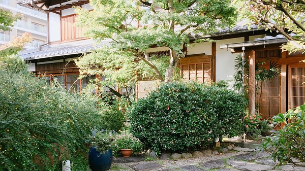 璞嗙摚鏃ヨ鍥炲鎸囧崡,璞嗙摚鏃呮父鏃ヨ