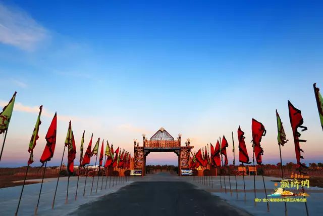 额济纳胡杨林10月份旅游攻略,额济纳旗旅游住宿