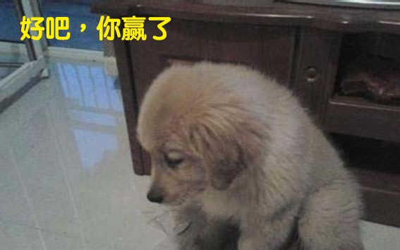 不使用mfi认证的数据线有什么影响,苹果数据线怎么总坏