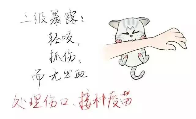 狗苗抓回来要打疫苗吗,买狗苗给狗苗打什么疫苗