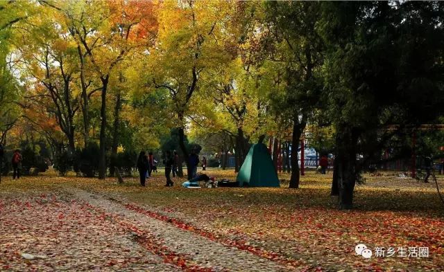 新乡是哪个乡？作为封丘人的你一定要知道！