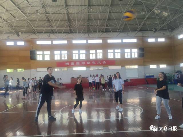 这群漂亮的意大利小哥哥小姐姐来太仓干了啥?