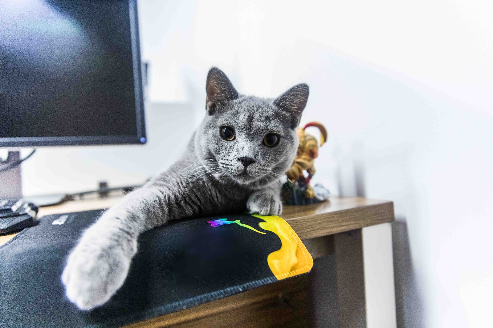 bwfc悟空手办开箱,普通悟空可动人偶手办开箱