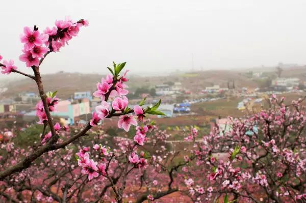 成都欧洲中心青白江,青白江到欧洲的桥头堡
