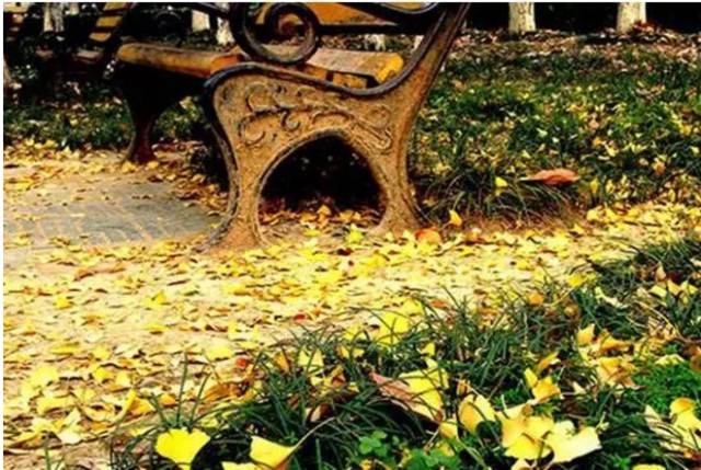 二百块钱玩南京一天,南京有哪些不要钱的游玩地方