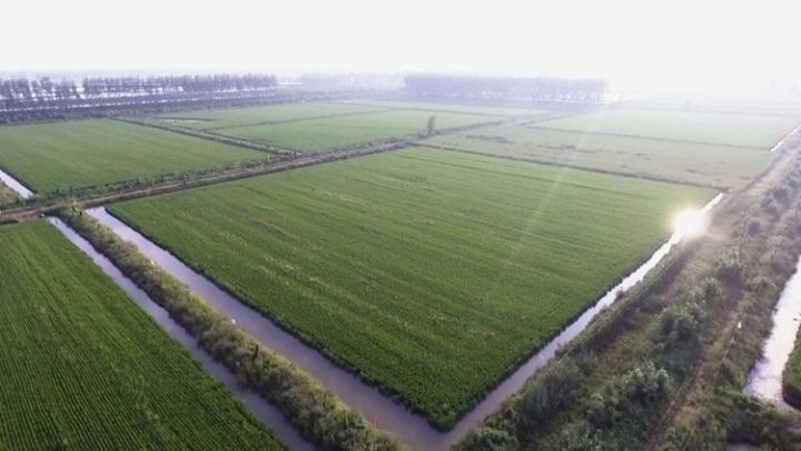 江苏卫视7点直播,江苏卫视淮安直播