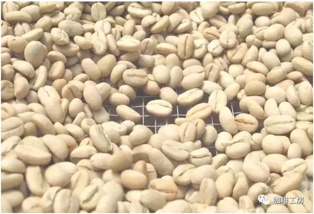 「咖啡常识」咖啡师学习培训基础知识大全