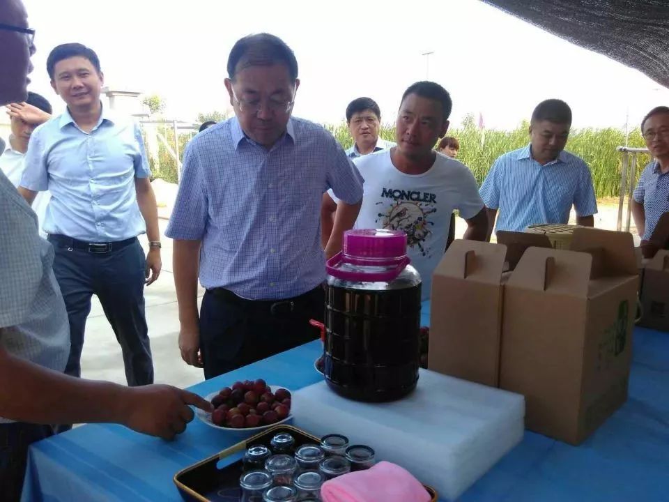 喜迎十九大创富英雄青春荣耀（十）｜创业致富“苏卜牌”富民壮村“水立方”