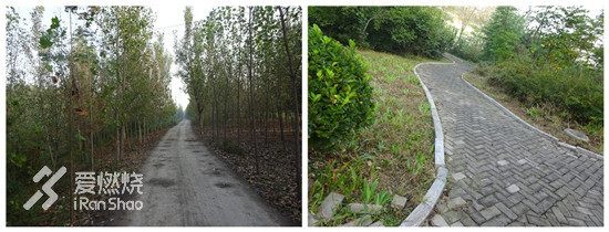 brookshyperionelite跑鞋,brooksghost12发售价