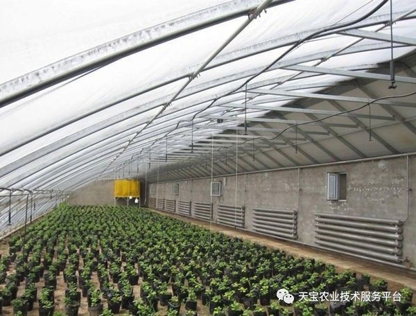 新型温室大棚哪种造价最低,温室大棚的种类及优点