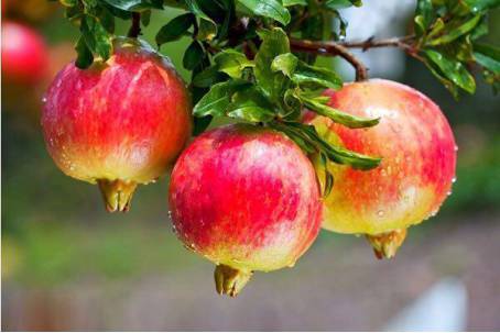 会理:温柔时光的千年古城,那份淡然的岁月安好!