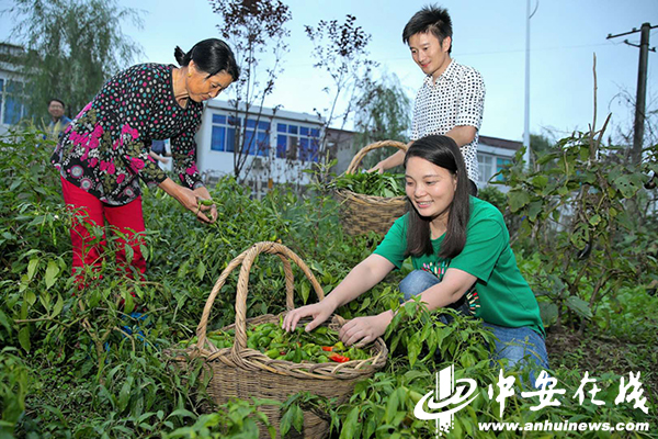 让山货走出深山,让山货走出大山
