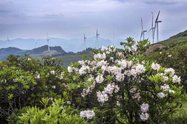 会理:温柔时光的千年古城,那份淡然的岁月安好!