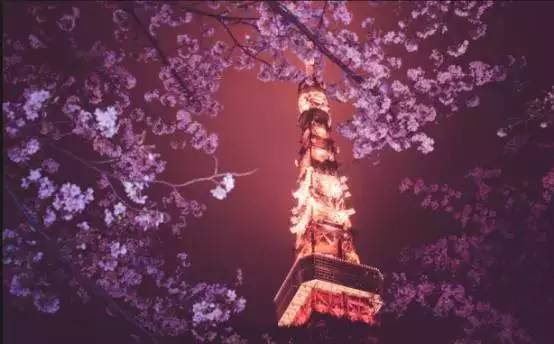 日本旅游不注意这些问题,日本旅游不签证会怎么样