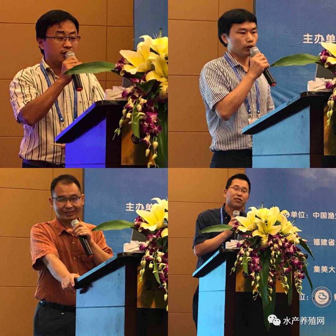 一半以上鳗鱼靠出口，被誉为“水产领域研究最后的一个大金矿”，繁华背后却有隐患