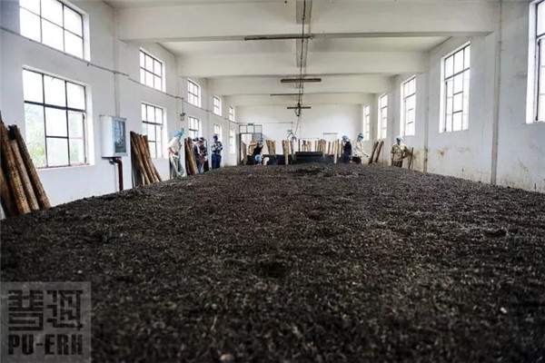 普洱茶纯料和拼配历程,普洱茶国营茶厂发展历程