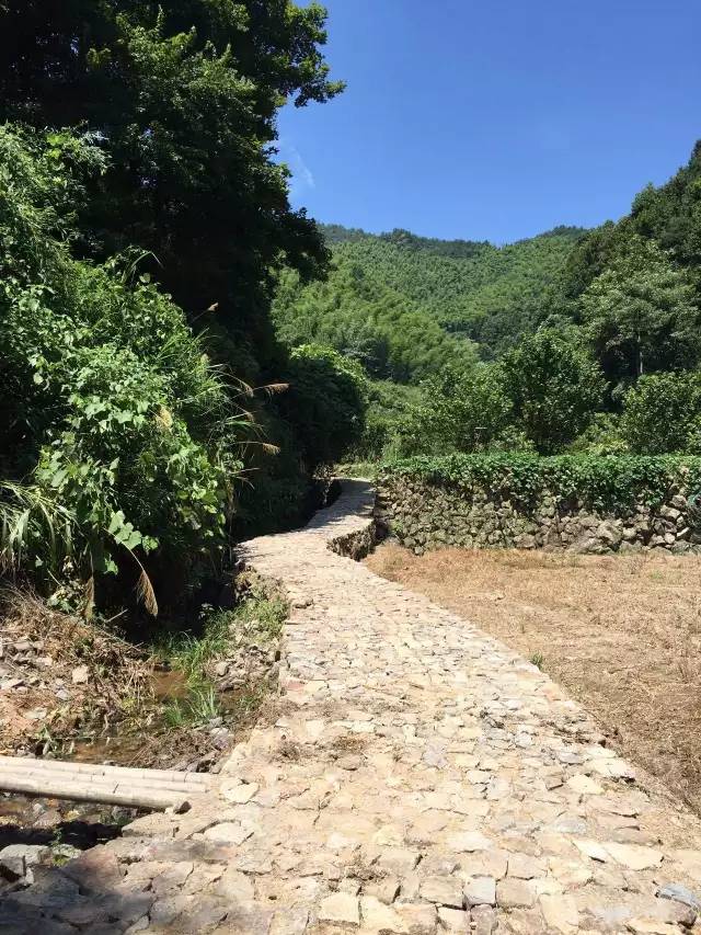 走不完的山川大地,走不完的川西看不完的美景