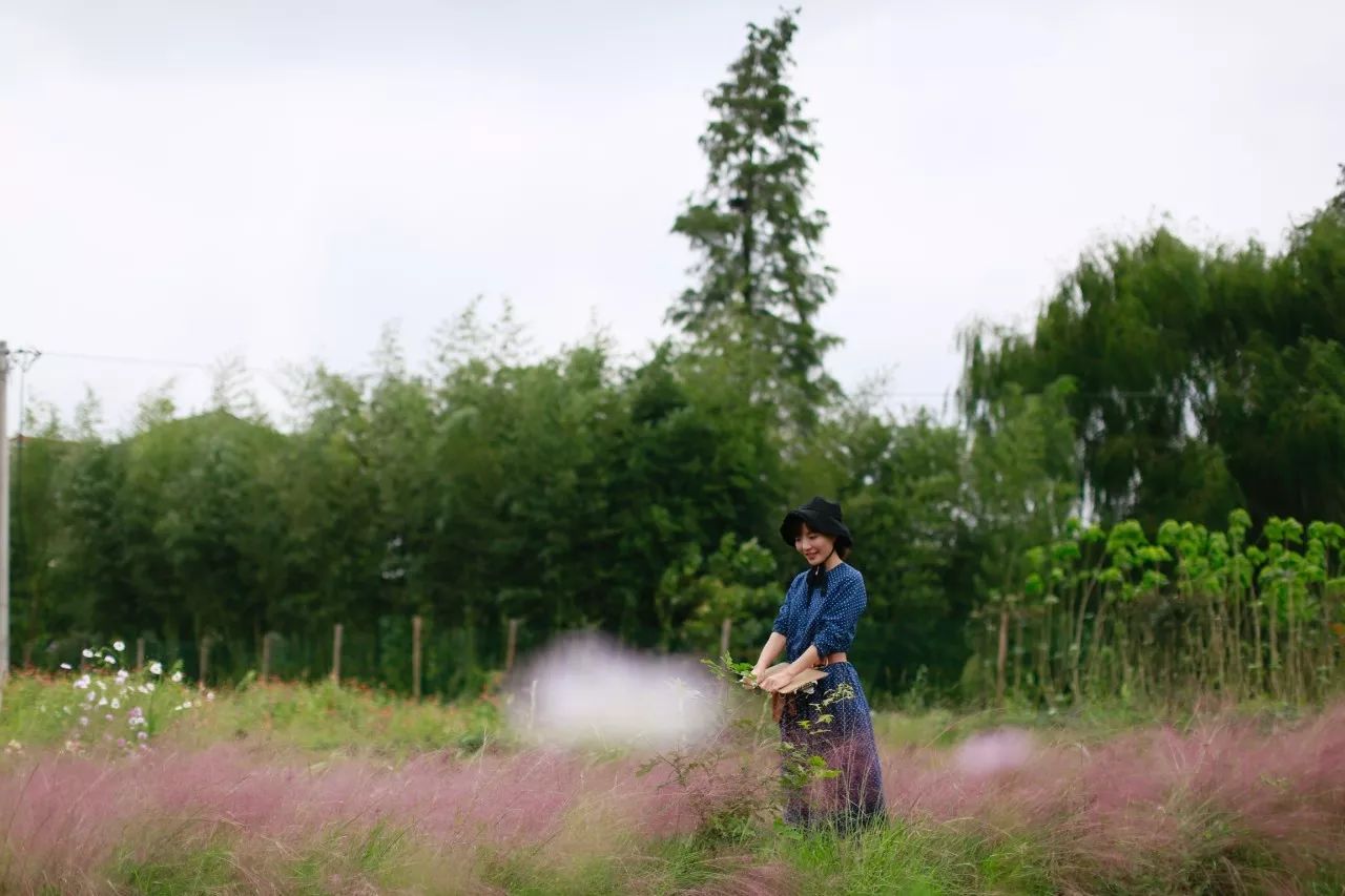 花田里逛了3小时，花材、花束、年度美照都有了