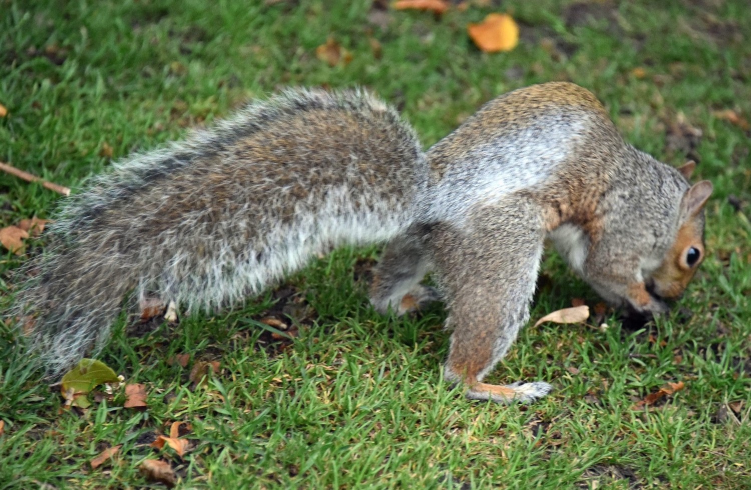 英国著名的城堡有哪些,英国城堡多少年了