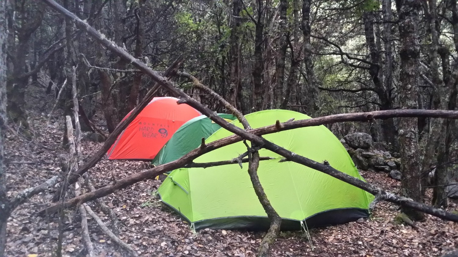 艾润活力氧使用寿命,艾润活力氧的危害