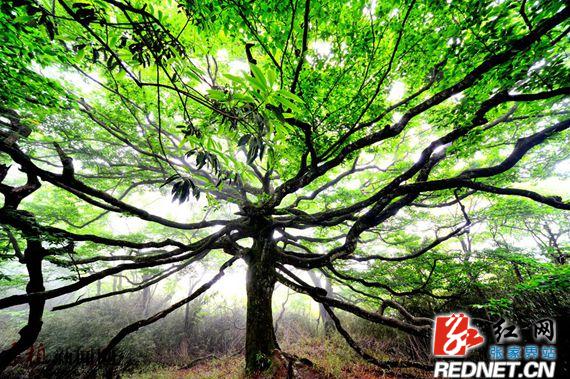 好山好水好地方歌曲完整版,好山好水好人家