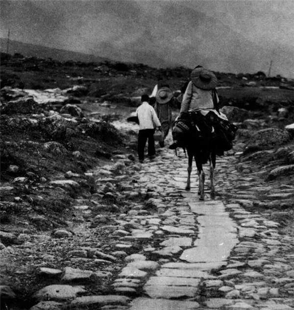 普洱茶纯料和拼配历程,普洱茶国营茶厂发展历程