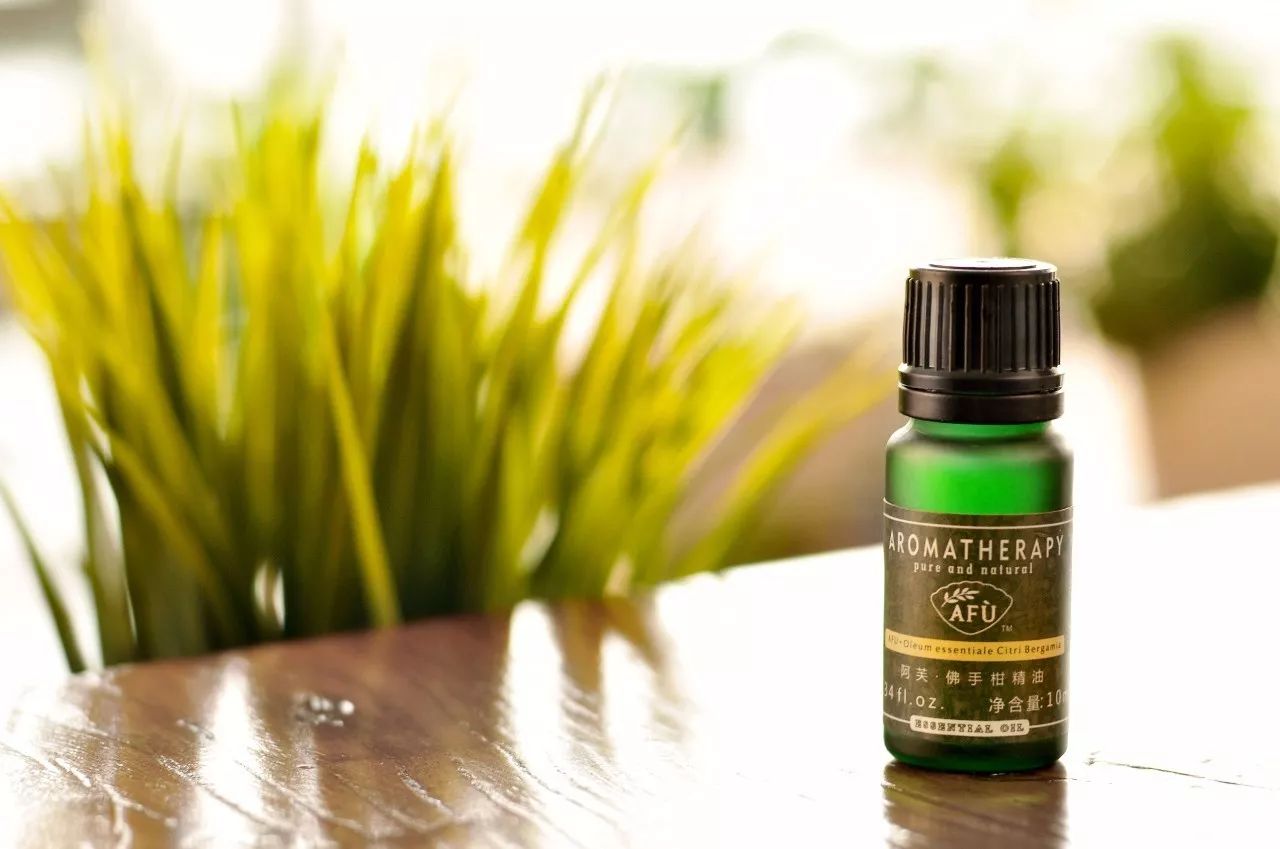 瀹犵矇鐙傞瓟涓婄嚎,瀹犵矇鐙傞瓟鏂版涓婃柊