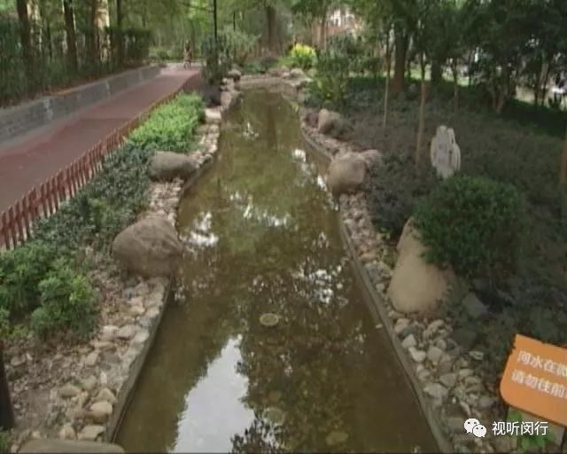 王金勇,王金勇浙江金华