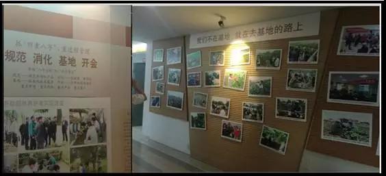 海利尔公司简介,海利尔的发展趋势