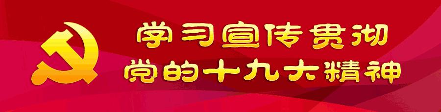 全国校园优秀足球特色学校邯郸,河北2024全国特色足球学校公告